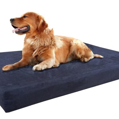 Premium XL Orthopedic Memory Foam Dog Bed with Waterproof Case and Extra Pet Bed Cover, 45X29X4  Crate